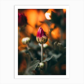 Poster Flower Art Print 2 Art Print