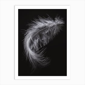 Black And White Feather 2 Art Print