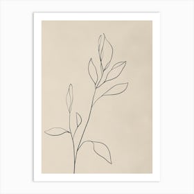 Leaf Drawing 2 Art Print