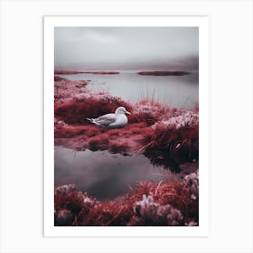 Red Seagull Art Print