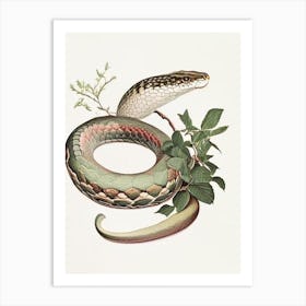 Crested Snake Vintage Art Print