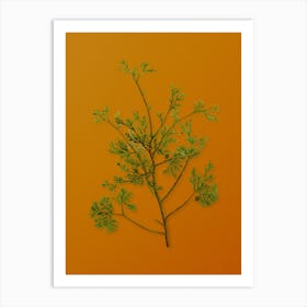 Vintage Atlantic White Cypress Botanical on Sunset Orange n.0408 Art Print