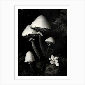 Mushroom And Flower Art Print