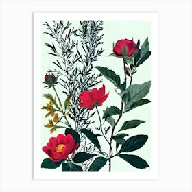 Red Roses 3 Art Print