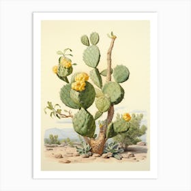 Vintage Cactus Illustration Lemon Ball Cactus 1 Art Print