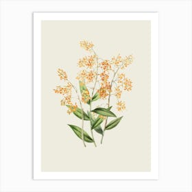 Orange Orchids Art Print