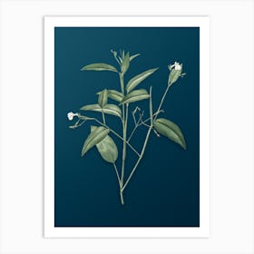 Vintage Maranta Arundinacea Botanical Art on Teal Blue n.0223 Art Print
