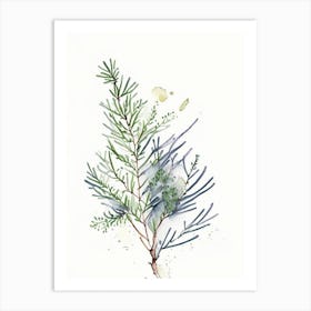 Juniper Herb Minimalist Watercolour 1 Art Print