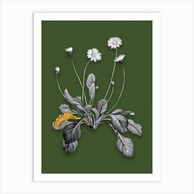 Vintage Daisy Flowers Black and White Gold Leaf Floral Art on Olive Green n.0512 Art Print