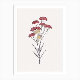 Yarrow Floral Minimal Line Drawing 1 Flower Art Print