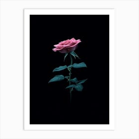 Pink Rose On Black Background 17 Art Print