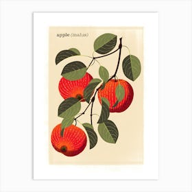 Apple Print Art Print