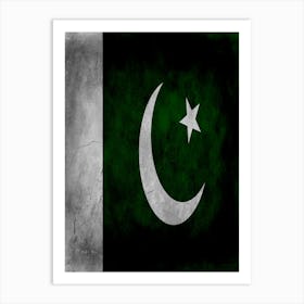 Pakistan Flag Texture Art Print