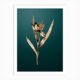 Gold Botanical Tulipa Oculus Colis on Dark Teal n.4659 Art Print