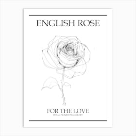 English Rose Black And White Line Drawing 3 Poster Art Print