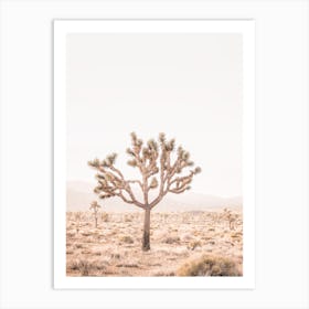 Yucca Art Print