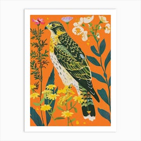 Spring Birds Falcon 1 Art Print