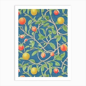 Citrus tree Vintage Botanical Art Print