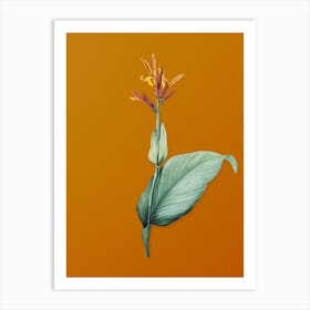 Vintage Indian Shot Botanical on Sunset Orange n.0656 Art Print