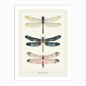 Colourful Insect Illustration Dragonfly 8 Poster Art Print