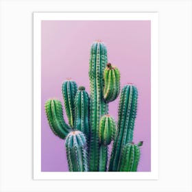 Cactus On A Purple Background 1 Art Print