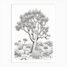  Detailed Drawing Of A Joshua Tree In The Style Of Jam 1 Art Print