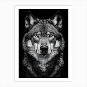 Portrait Of A Wolf Art Print