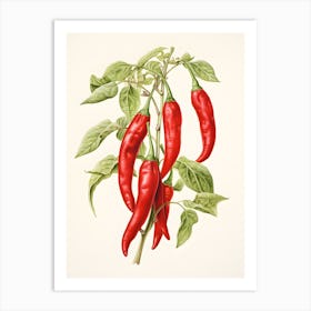 Chilli Plant Art Print