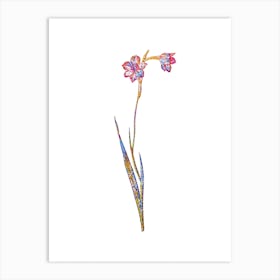 Stained Glass Sword Lily Mosaic Botanical Illustration on White Art Print