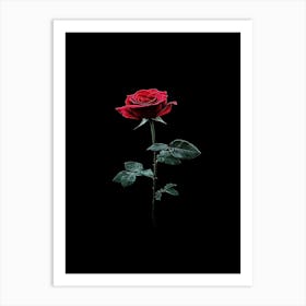 Single Rose On Black Background 27 Art Print