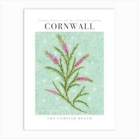Cornwall County Flower | The Cornish Heath Art Print