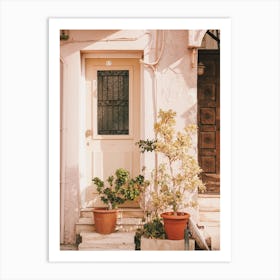 Apartment Stoop Art Print