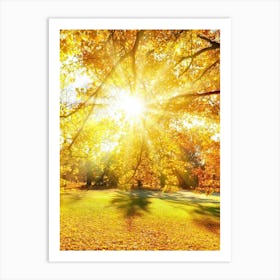 Autumn Leaves In The Park Art Print