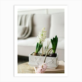 Hyacinth Art Print