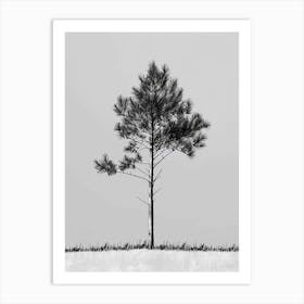 Pine Tree Minimalistic Drawing 3 Art Print