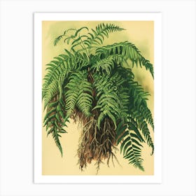 Vintage Illustration Upside Down Fern 3 Art Print