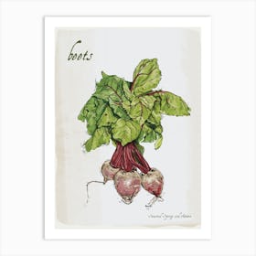 Beetroot Vintage illustration Print Art Print