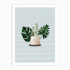 Succulent Plant 4 Art Print