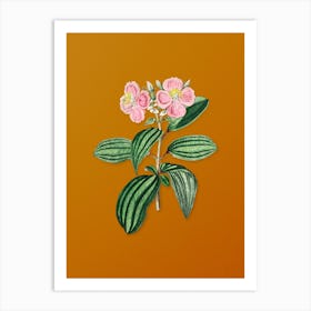 Vintage Starry Osbeckia Flower Botanical on Sunset Orange n.0802 Art Print