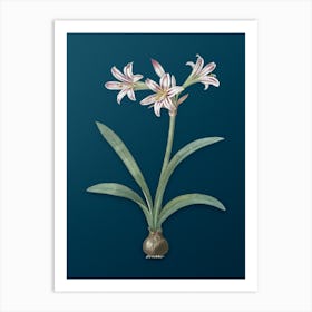 Vintage Amaryllis Botanical Art on Teal Blue n.0166 Art Print