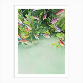 Rainbow Shark Storybook Watercolour Art Print