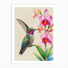 Hummingbird And Orchid Art Print