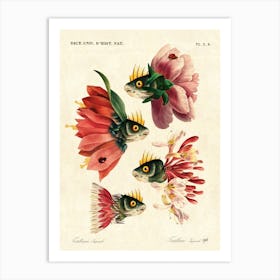 Pink fish Art Print