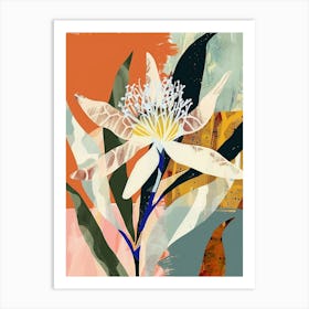 Colourful Flower Illustration Edelweiss 2 Art Print