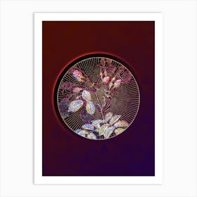 Abstract Crimson Evrat's Rose Botanical Illustration n.0238 Art Print