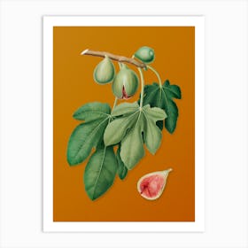 Vintage Fig Botanical on Sunset Orange n.0540 Art Print