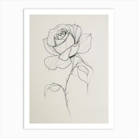 English Rose Black And White Line Drawing 38 Art Print