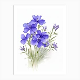 Wild Blue Phlox Wildflower Watercolour 2 Art Print
