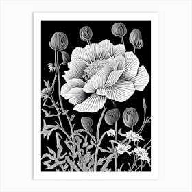 Matilija Poppy Wildflower Linocut 2 Art Print