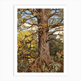 Shagbark Hickory 1 Vintage Autumn Tree Print  Art Print